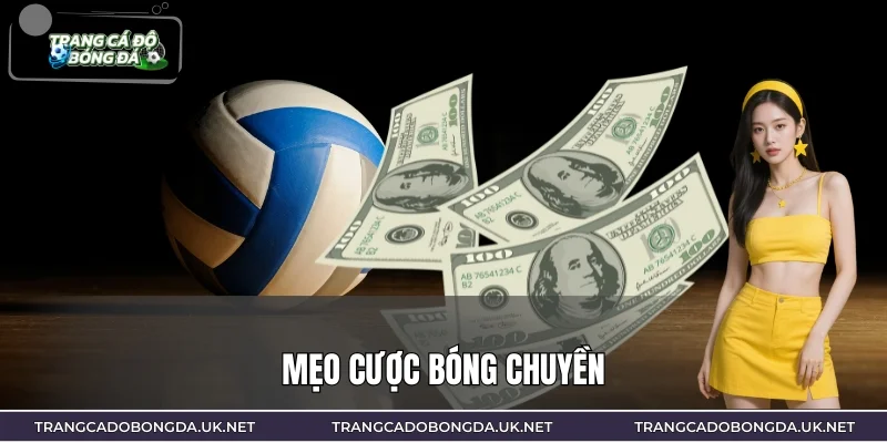 Mẹo Cược Bóng Chuyền – Đọc Nhịp Trận Để Chọn Kèo Sáng