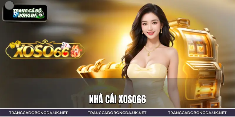 XOSO66 | Sân Chơi May Mắn Cho Người Nuôi Mộng Triệu Phú